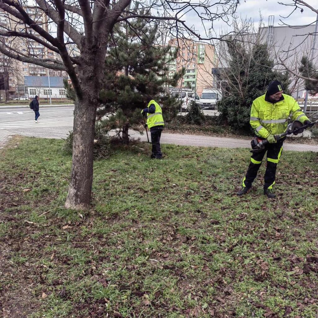 Úprava zelene. FOTO: FB/Novovital Nové Zámky